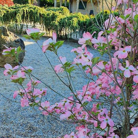 Casa Da Agra Villa โอโกรูญา ภายนอก รูปภาพ